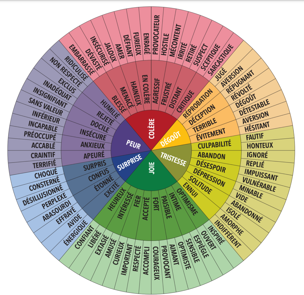 Roue-granularité-emotionnelle-sargis-coaching