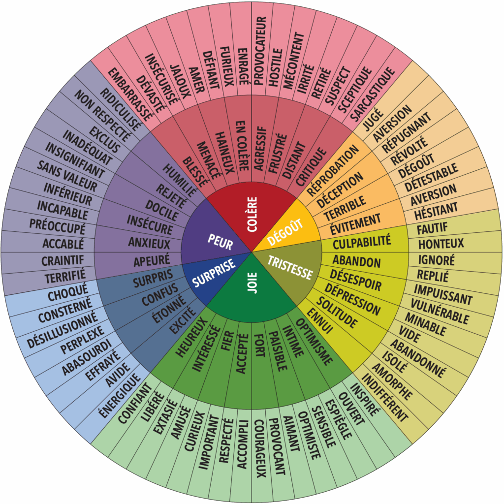 Roue-granularité-emotionnelle-sargis-coaching