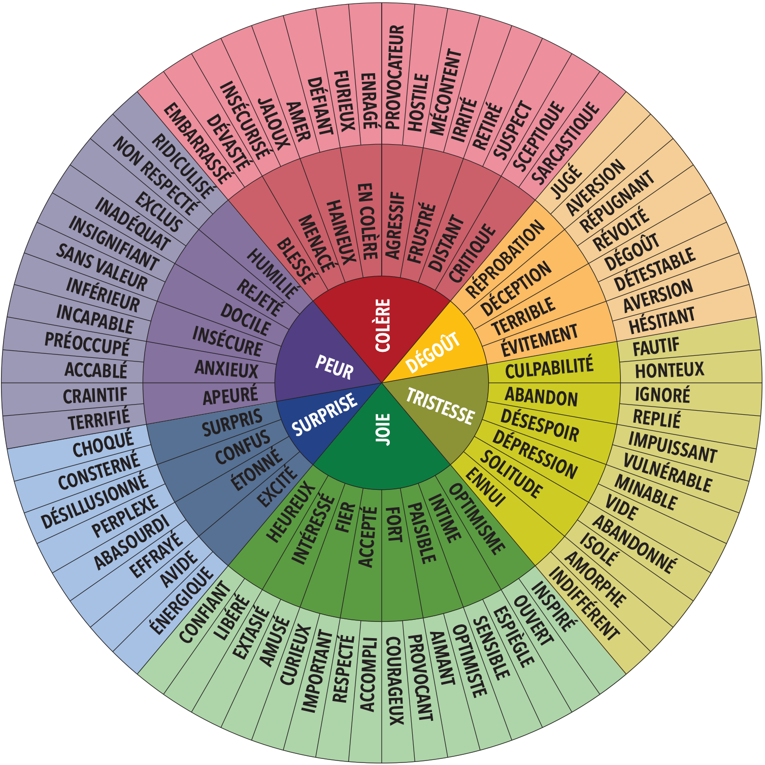 Roue-granularité-emotionnelle-sargis-coaching