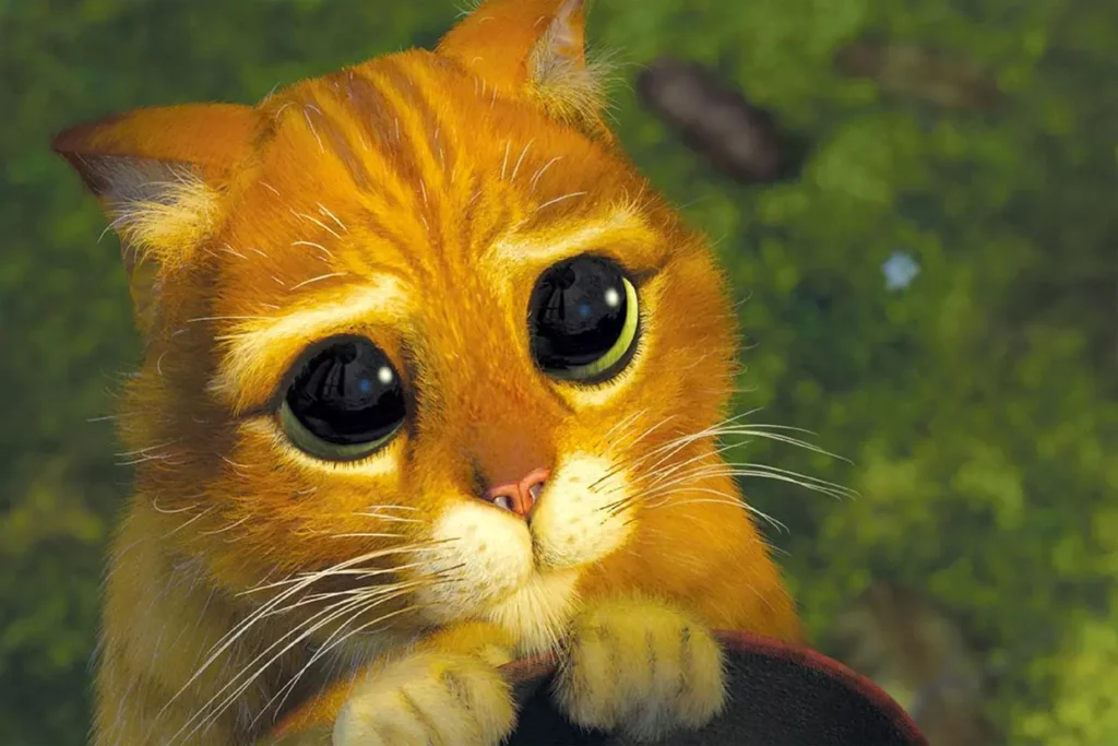 Intelligence émotionnelle Empathie Coaching Chloe Sargis