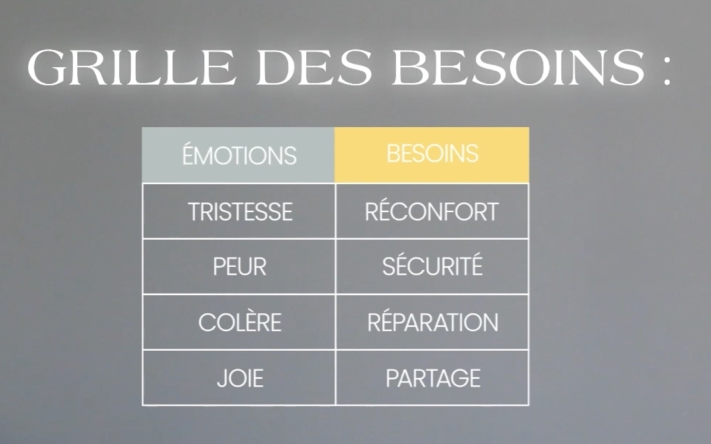 coaching sargis gestion des émotions hypersibilité grille des besoins