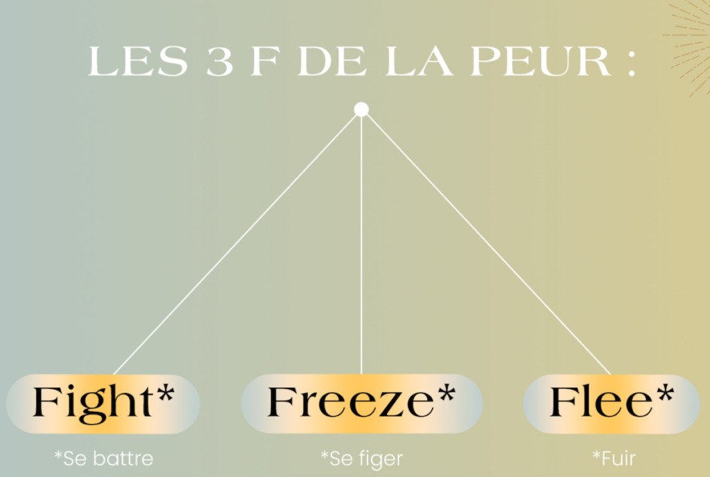 Comment gérer sa peur : les 3 F