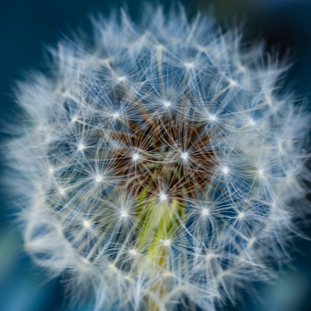 coaching en bien-être