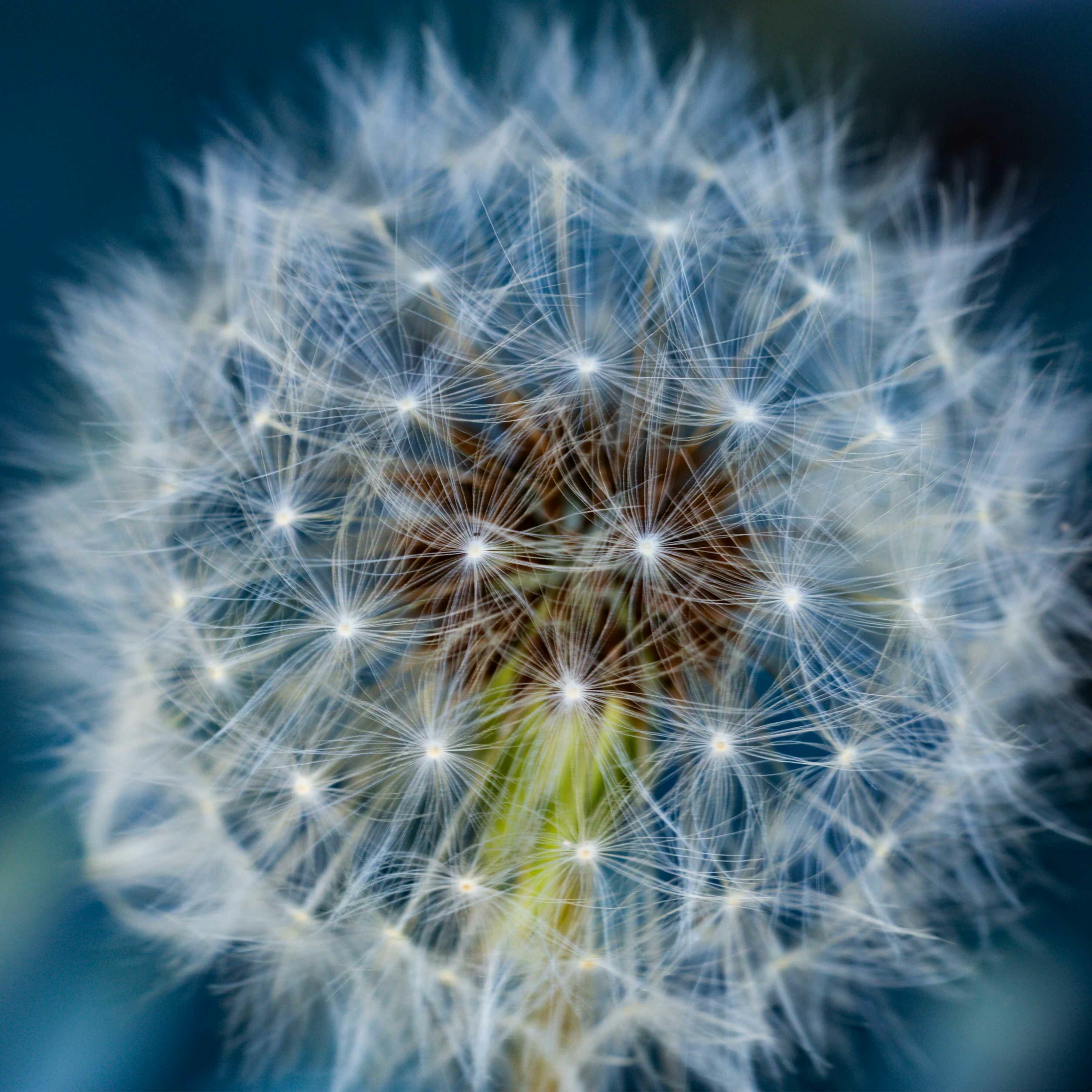 coaching en bien-être